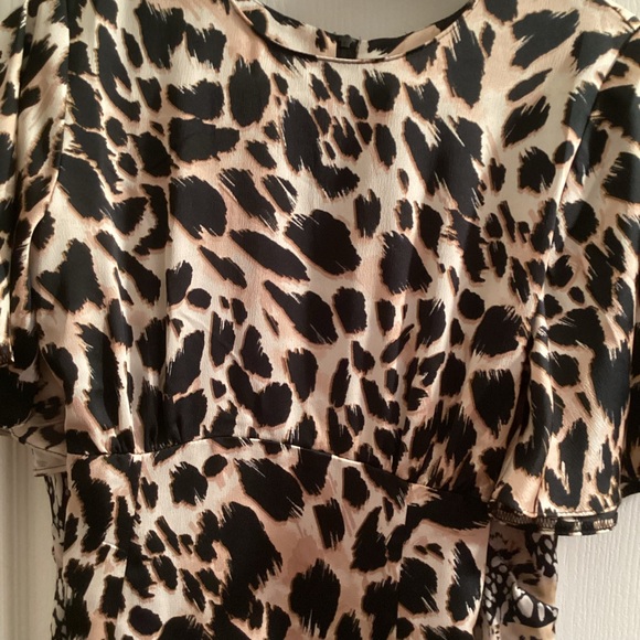 Wallis (UK) size 8 dress.  XS in Canada - Picture 3 of 3